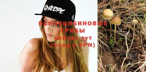 a pvp Михайловск