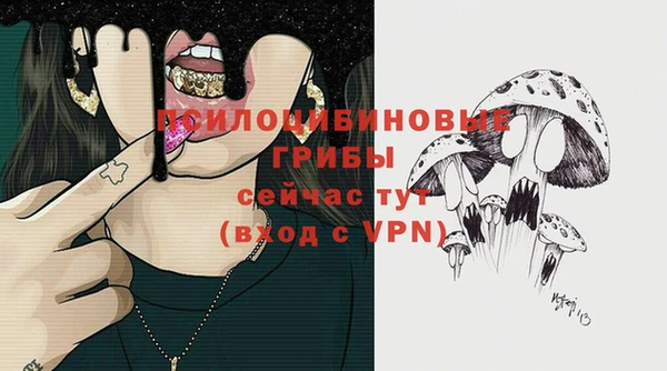 a pvp Михайловск